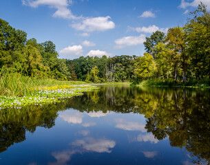 Obraz premium Bartholomew Reflections