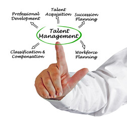 Talent Management