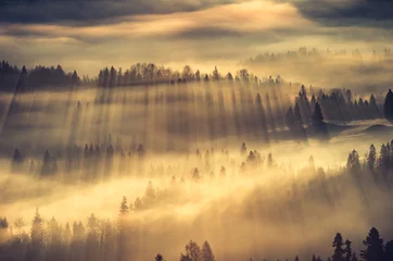 Papier Peint photo Nature Misty mountain forest landscape in the morning, Poland