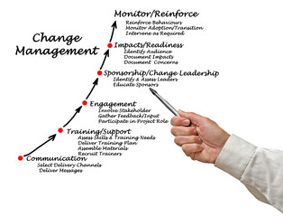 Diagram of Change Management.