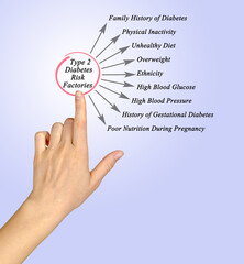 Type 2 Diabetes Risk Factories