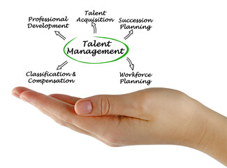 Talent Management