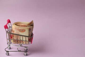 
A cart from the store with money. Money for purchases