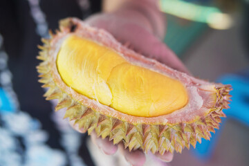 Close up of ready to eat durian fruit in lady hand