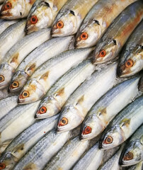 fresh gray mullet fish at the market background.