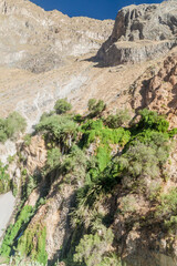 Canyon Colca in Peru
