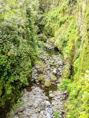 Fototapeta premium Wandern auf Madeira - Wasserlaufe Levada