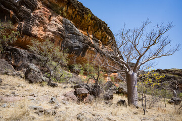 The Napier Range in the Kimberley has many caves which are decorated with ancient art of the local indigenous Bunda People.