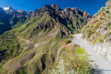 Path in Colca canyon, Peru