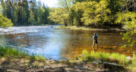 Fly fisherman using flyfishing rod in a beautiful river in spring