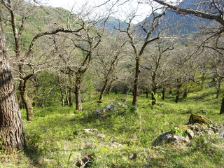 PAESAGGIO MONTANO,CAMPANIA,SUD ITALIA