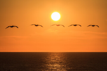 san diego sunset