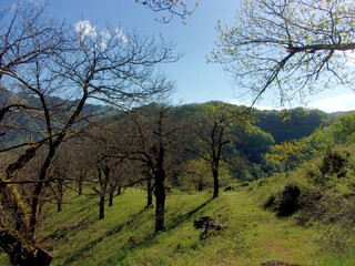 PAESAGGIO MONTANO,CAMPANIA,SUD ITALIA