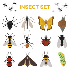 Fly insects wildlife entomology bug animal nature beetle biology buzz icon vector illustration