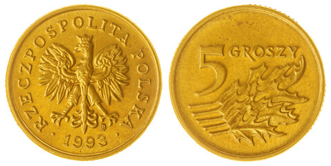 5 groszy 1993 coin isolated on white background, Poland