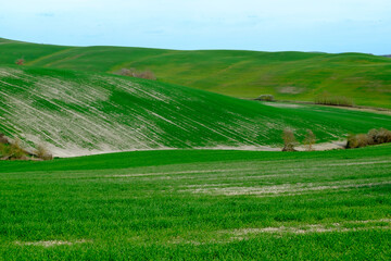 The famous Tuscan Crete Senesi