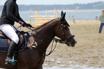 la jumping des sables,concours de saut d'obstacles sur la plage à Arcachon