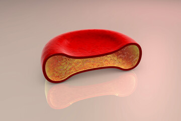 Transverse section of red blood cell. 3D illustration showing presence of hemoglobin solution inside red blood cell