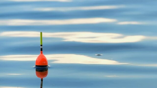 Float on the waves close up