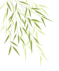 Bamboo green leaves
