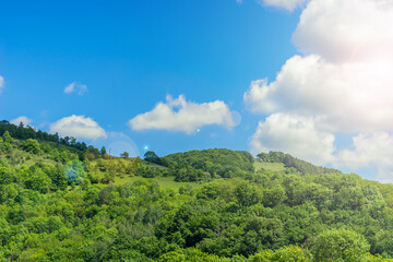 Fototapeta na wymiar Forest, mountains and a blue sky