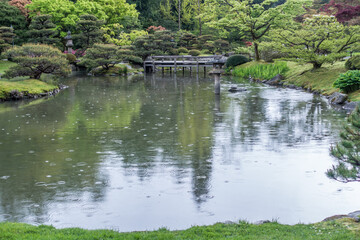 Fototapeta na wymiar Rain On Garden Pond 4