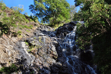 Waterfall in Kondalilla National Park