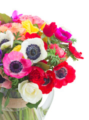 Fresh colorful Anemones and roses flowers close up bouqet in vase isolated on white background