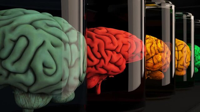 Human Brains in Science Laboratory Glasses Cinematic 3D Animation