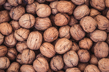 Walnuts in the shell as a backdrop background or wallpaper.