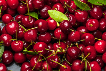 Frische Kirschen 