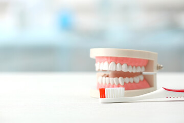 Artificial jaw model and toothbrush on table