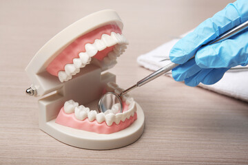 Fototapeta na wymiar Dentist examining teeth model with tool on wooden background