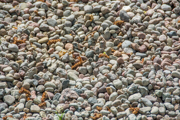 Gravel texture
