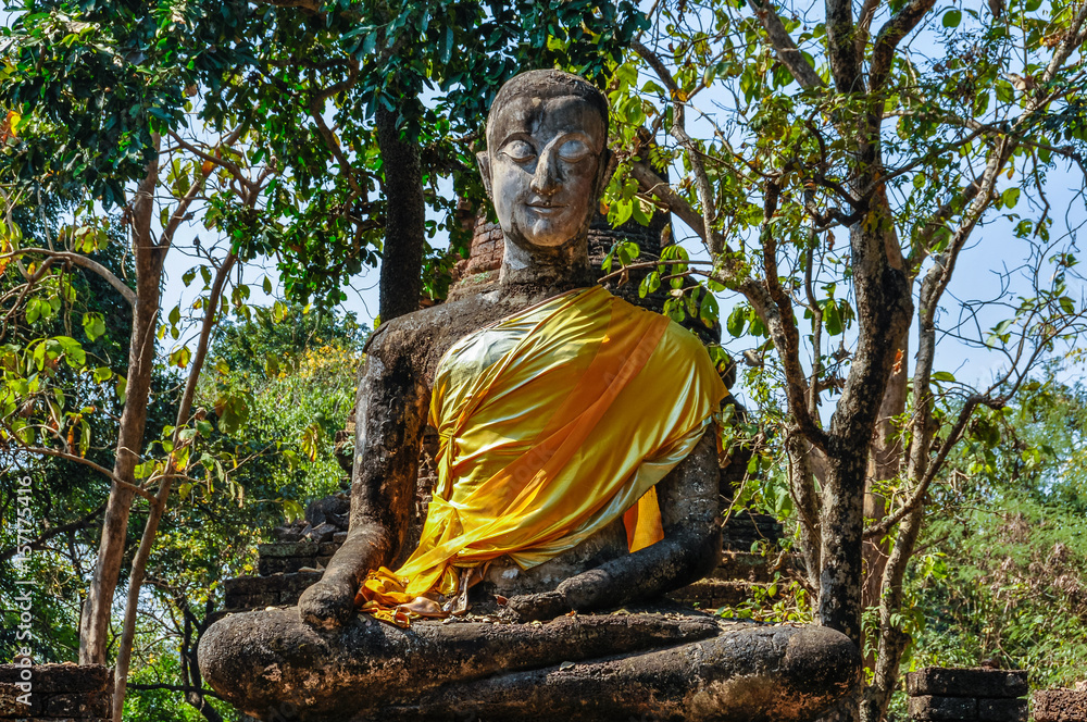 Wall mural Buddha statue in the forest in Si Satchanalai, Thailand