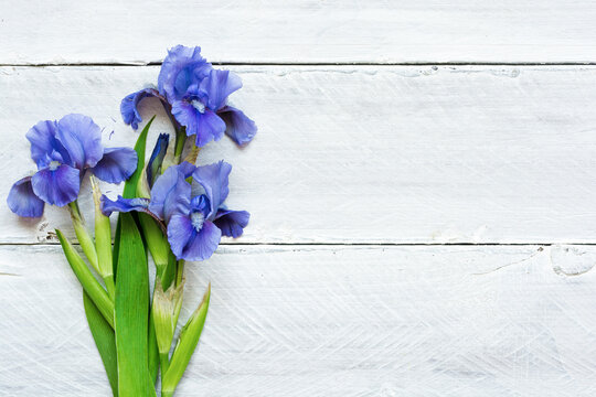 blue iris flowers over white wooden background