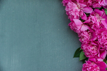 Floral frame with pink peonies flowers on grey background. Selective focus, place for text, top view