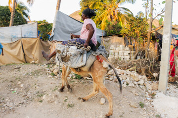 Woman on a Donkey