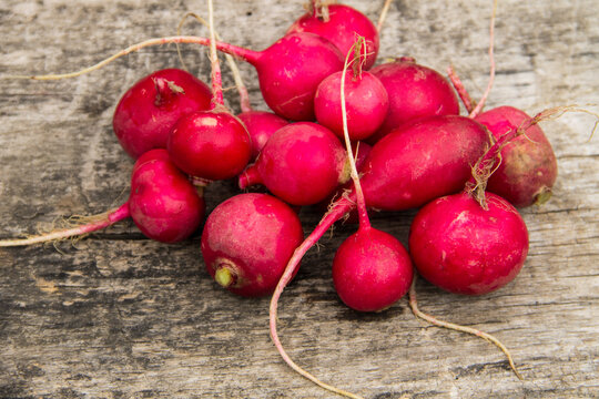 Heap of radish on wooden table. Top view