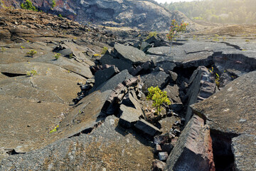 Stunning view of the Kilauea Iki volcano crater surface with crumbling lava rock in Volcanoes National Park in Big Island of Hawaii © MNStudio