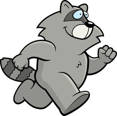 Raccoon Running
