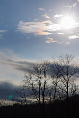 Fototapeta na wymiar Silhouette in the Sky