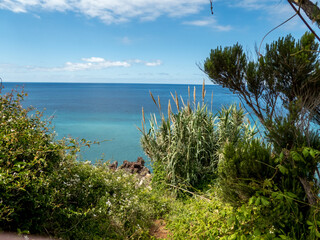 Panorama View Madeira Funchal Portugal