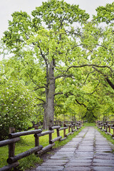 Fototapeta premium Beautiful wooden dead hedge in the park. Vertical photography.