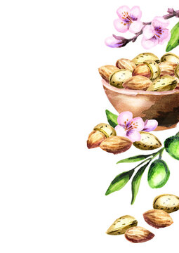Almonds template. Watercolor background