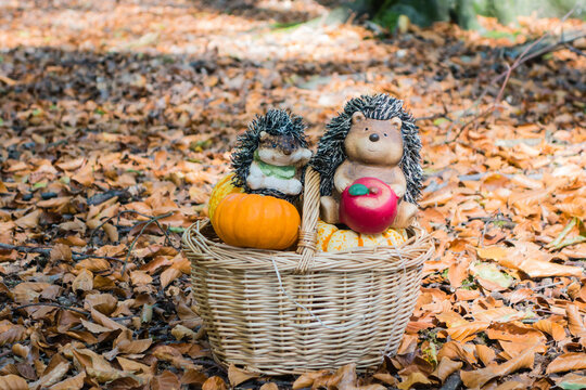 Herbstmotiv