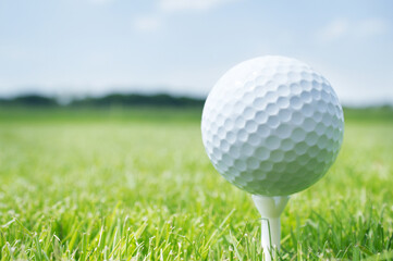 Golf ball on tee in grass