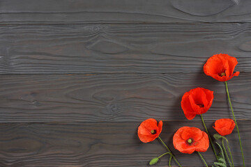Naklejka na ściany i meble red poppy flowers on dark wood background. top view with copy space