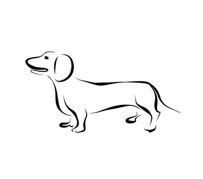 Drawing dachshund silhouette