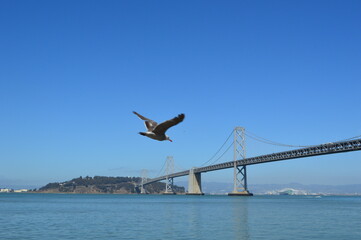 Fototapeta na wymiar Oakland Bay bridge